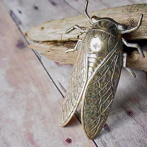 Cicada Pin, Insect Pin, Insect Brooch, Bug Pin, Bug Jewelry, Insect Jewelry,  Cicada Jewelry, Dog Day Cicada, Cicada Brooch, Cicada Jewelry 