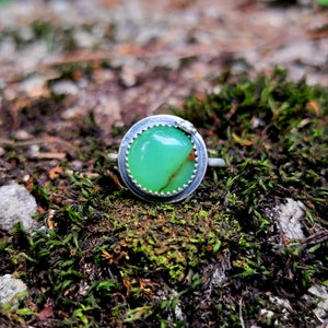Chrysoprase Ring in Sterling Silver Size 6.75
