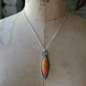 Wicked Rosarita Collection in Sterling Silver