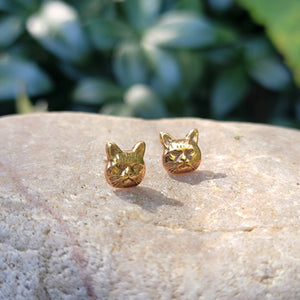 Grumpy Cat Posts - Stud Earrings