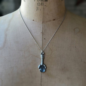 Griffin Claw Pendant with Kyanite in Sterling Silver