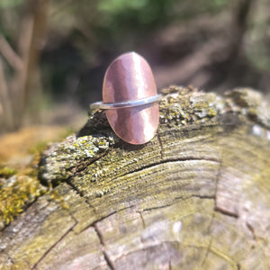 Armor Ring in Hammered Brass & Sterling Silver