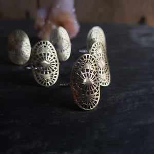 Brass Lacy Spiderweb Shield Ring with Sterling Silver Band