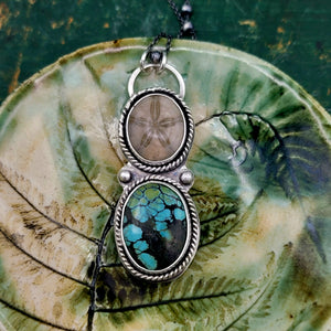Fossil Sand Dollar & Turquoise Collection in Sterling Silver