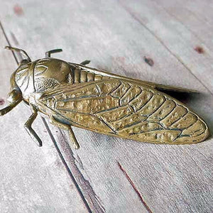 Cicada Brooch - Verdilune